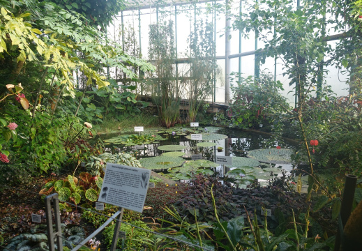 DSC01761